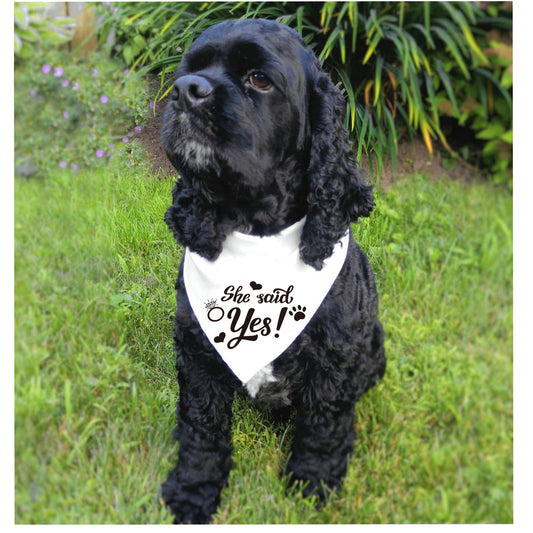 Pet Wedding Bibs.