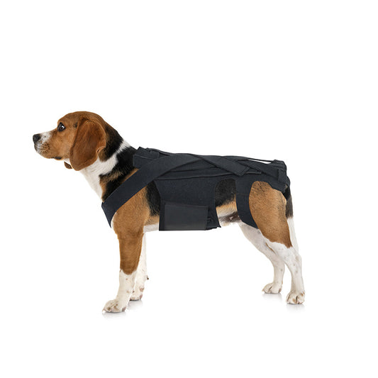 SpineSure IVDD Support Harness