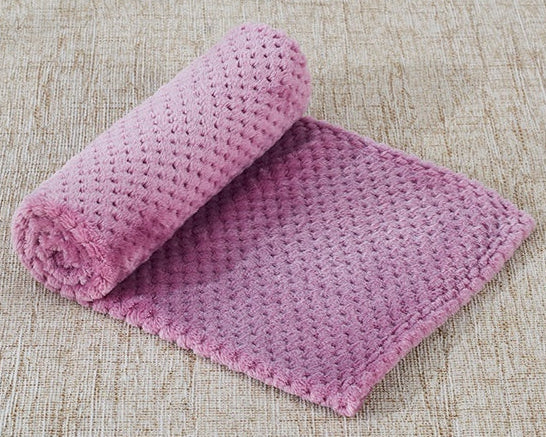 CozyCloud Coral Fleece Pet Blanket